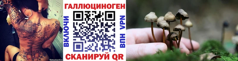ссылка на мегу tor  Шимановск  Псилоцибиновые грибы Psilocybe  где можно купить  